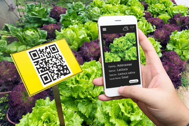 What is Food Traceability System using Blockchain and QR code?